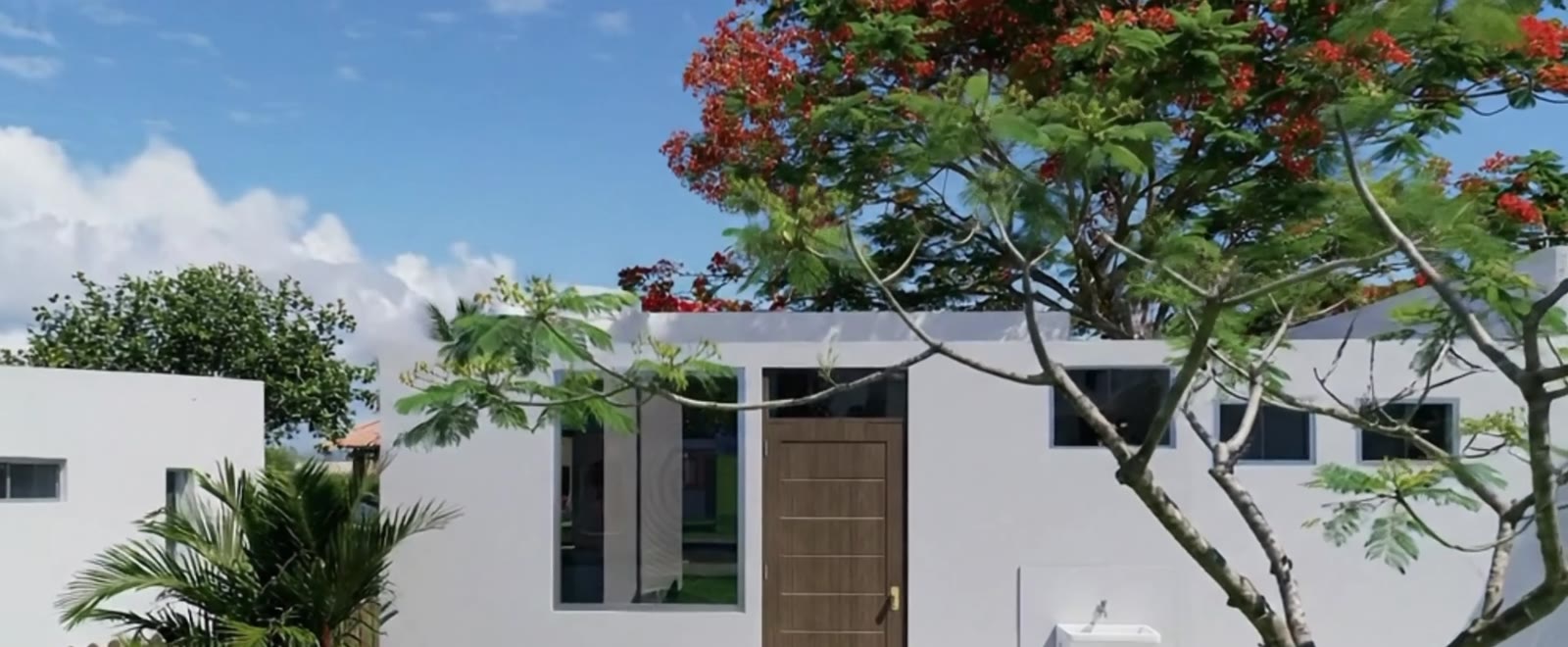 Vivienda de fachada blanca con puerta de madera y árbol de flores rojas